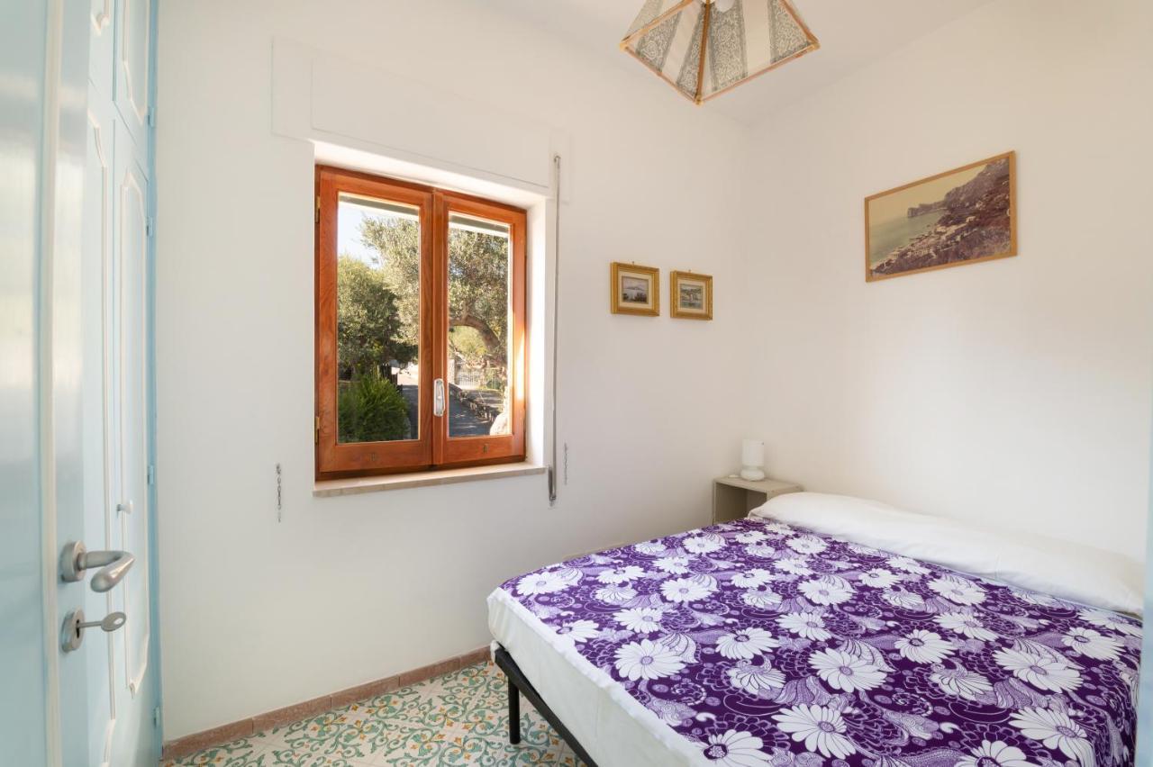 Main Roof Terrace Apartment Nerano Zewnętrze zdjęcie